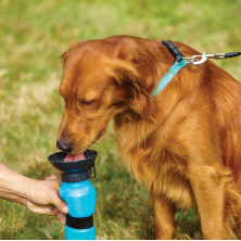 Botella de Agua Portátil Para Mascotas 500ml Azul y Negro